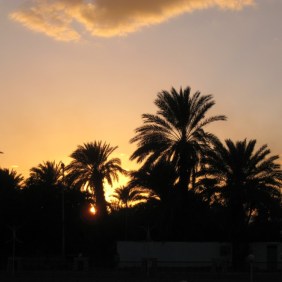 On the Nile