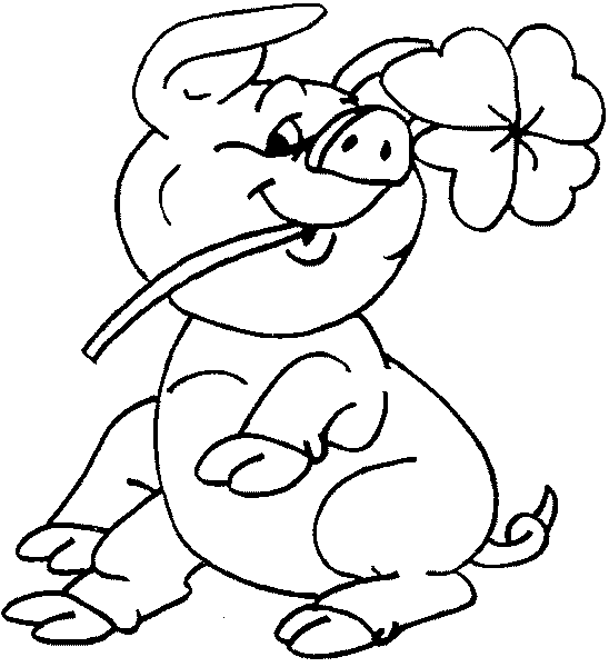 orakeln mit dem Überraschungsei › crazy crow