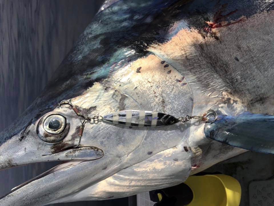 衝撃ニュース ジギングで180cmのクロカワカジキが登場 Hitジグは噂の 釣りの総合ニュースサイト Lurenewsr ルアーニュース アール