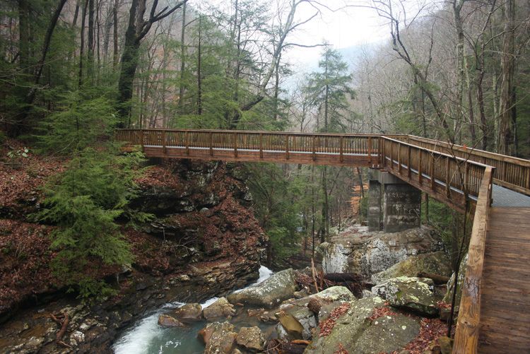 Cloudland Canyon State ParkRising Fawn, GA crazy4camping