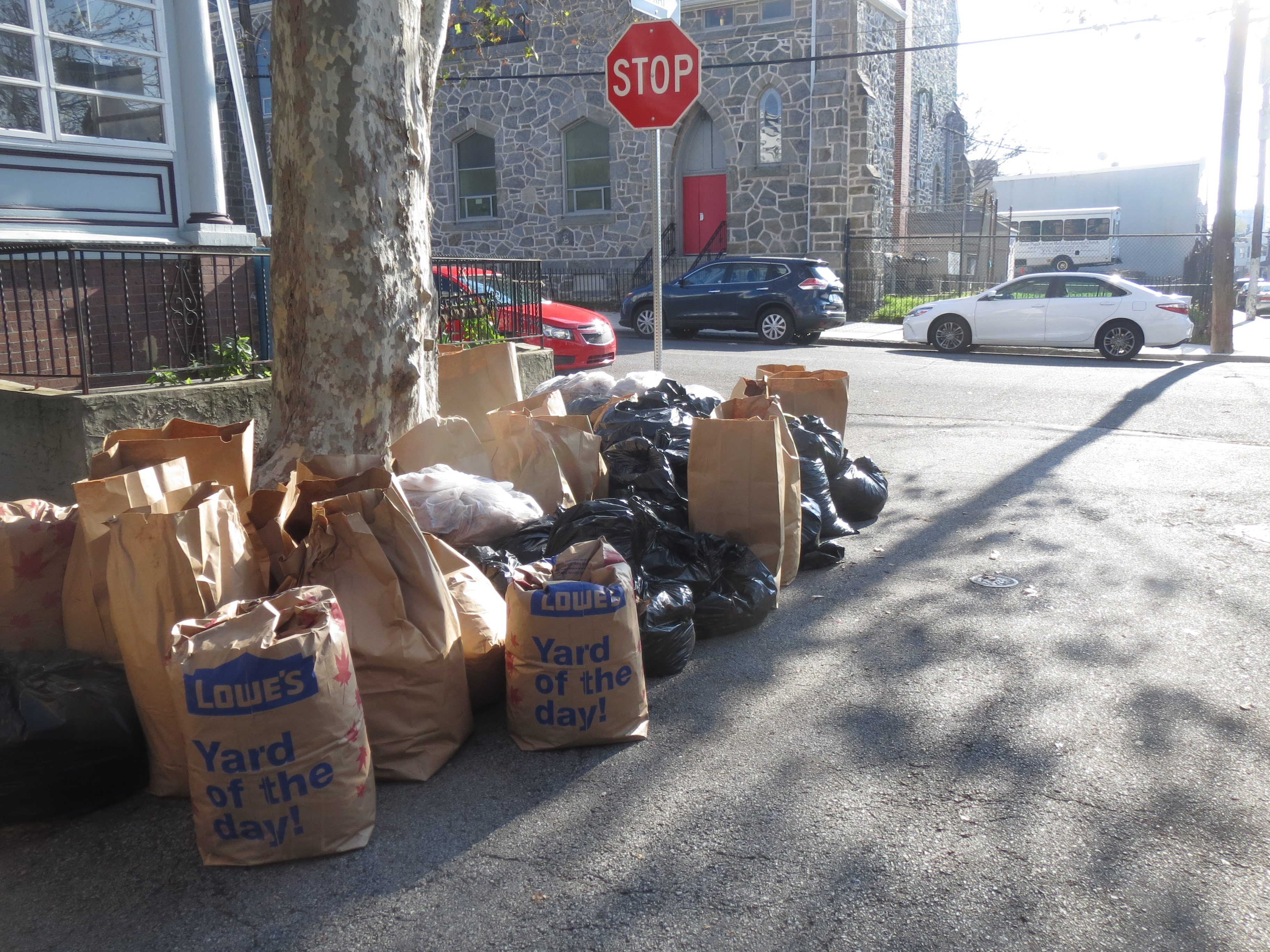 Leaf Hoarding! Crazy About Compost