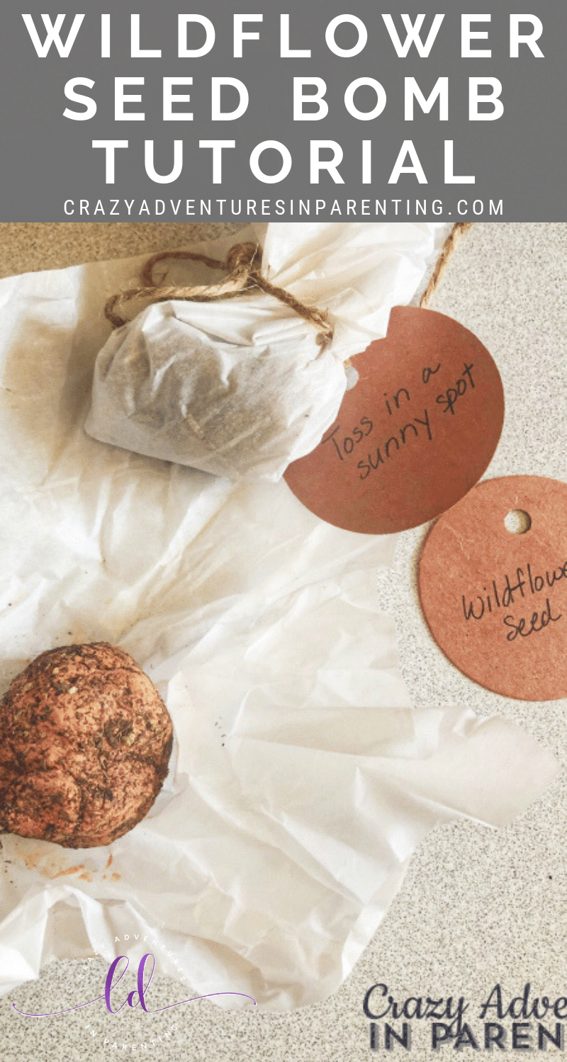 Wildflower Seed Bomb Tutorial Crazy Adventures in Parenting