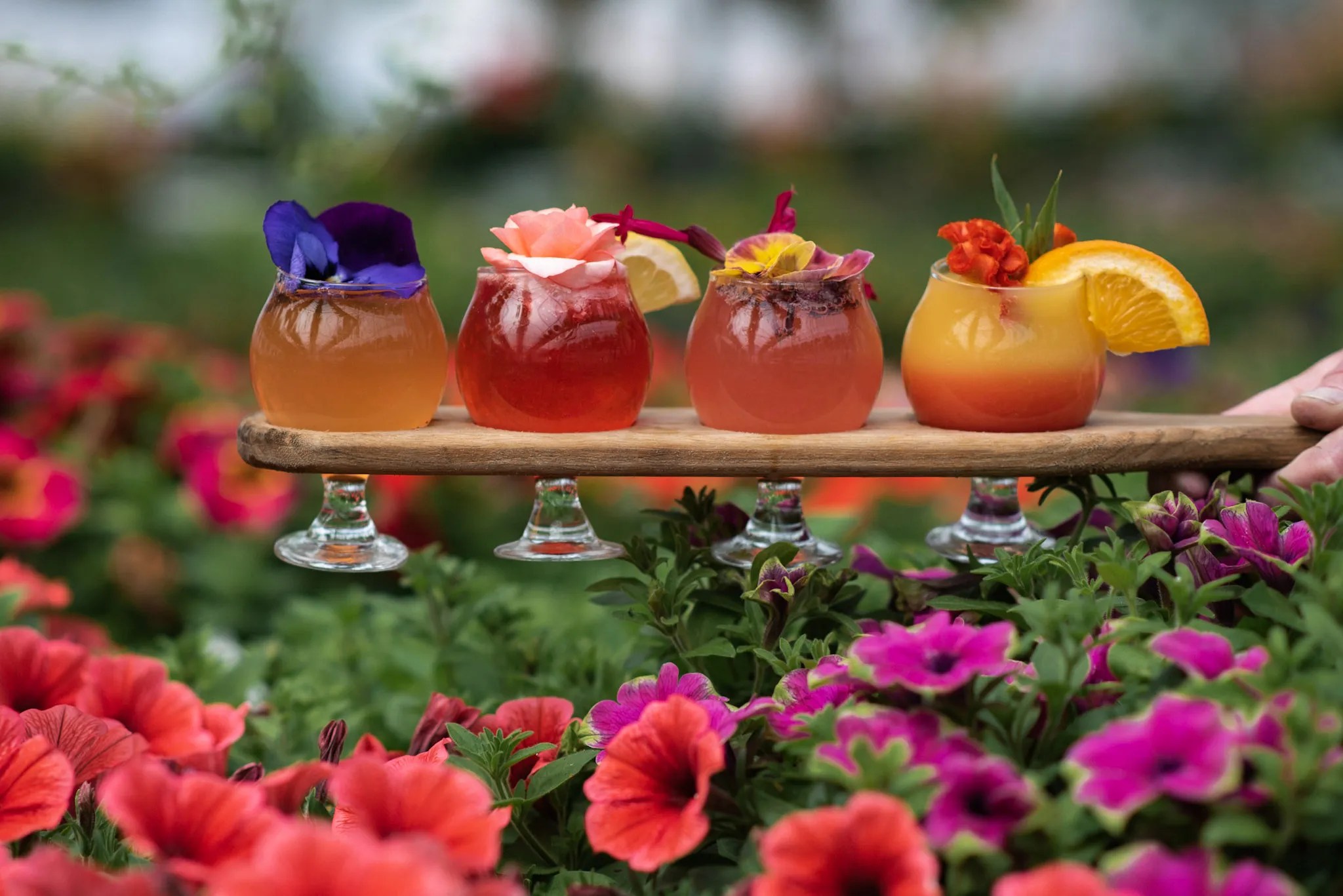 Crazy Daisies Greenhouse & Garden Cafe