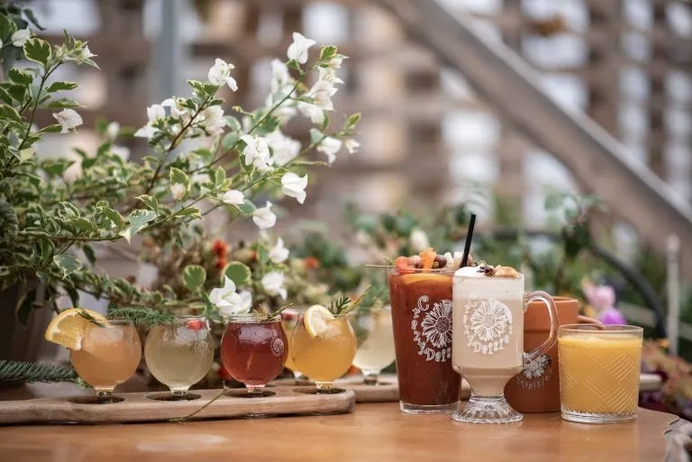 Garden Cafe Crazy Daisies Greenhouse & Garden Cafe