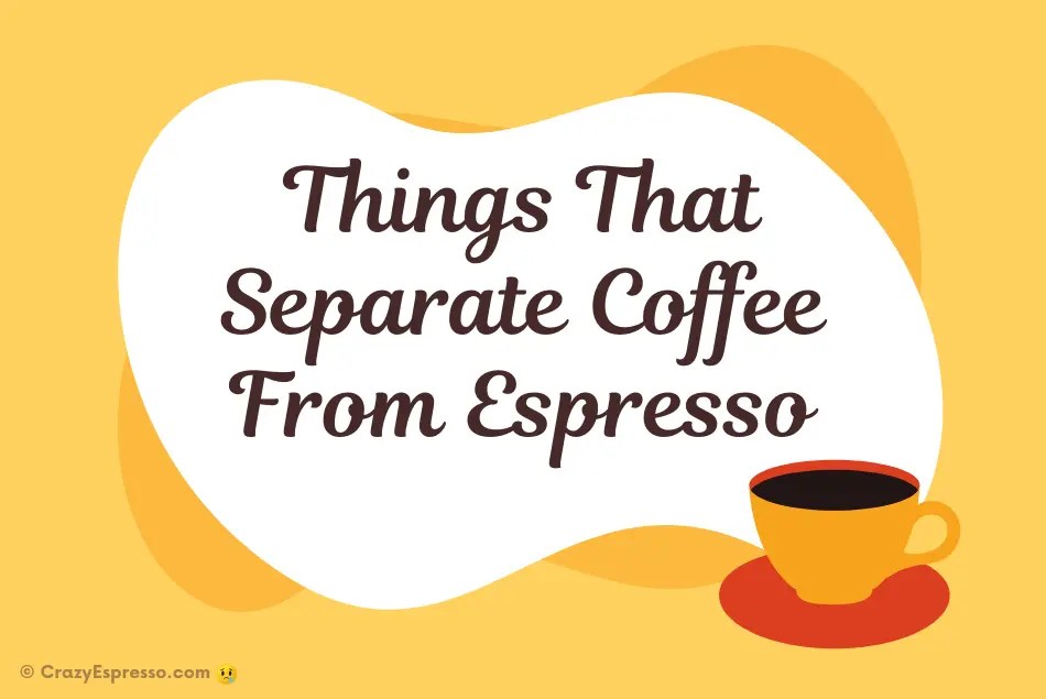 Espresso Vs Coffee Which One Is Better For You? Crazy Espresso