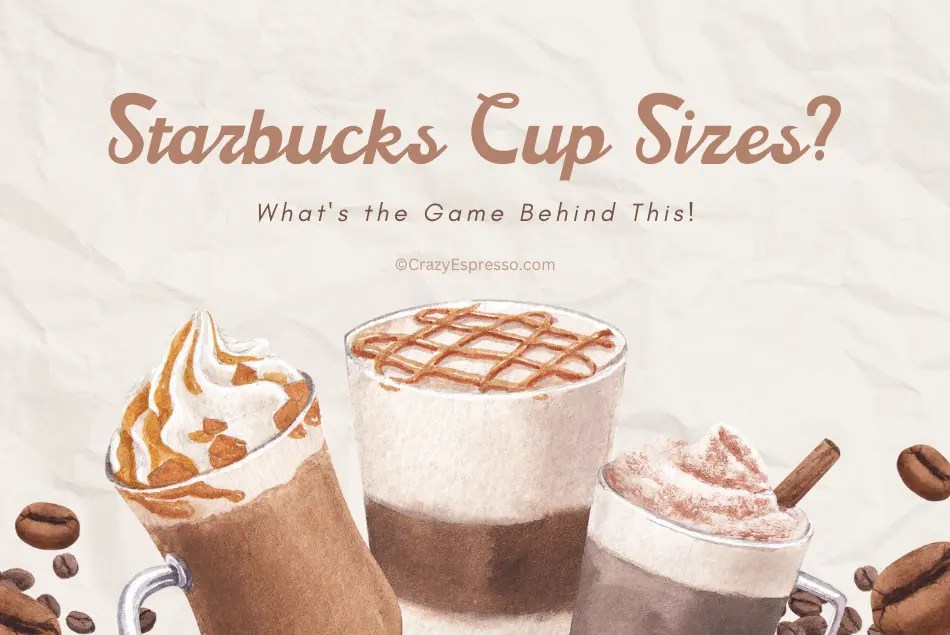 Learn All Facts About Starbucks Cup Sizes Crazy Espresso