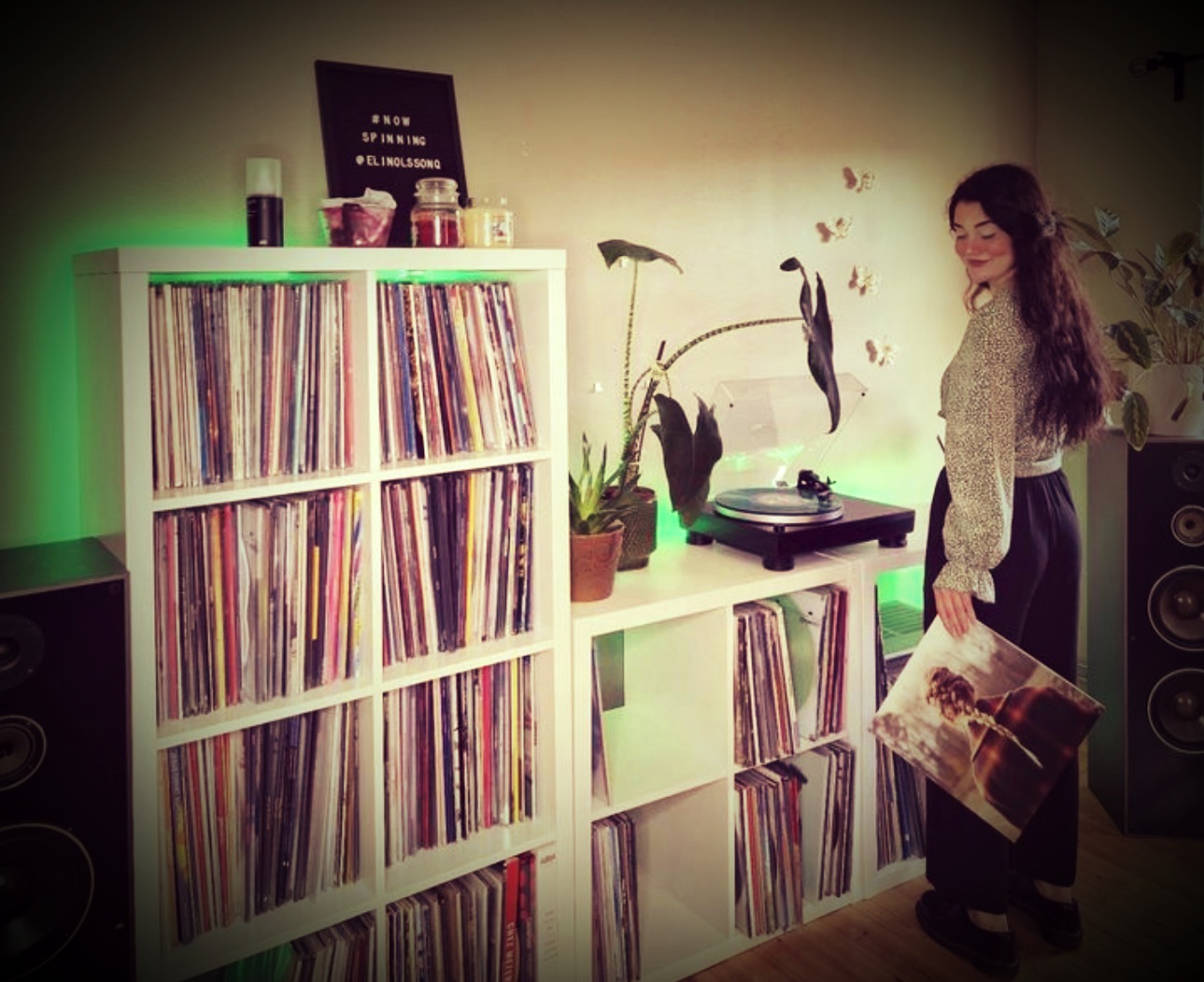 Storing Vinyl Records The Ultimate Guide Crazy For Vinyl