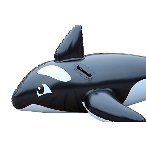 Wanderlust Collective Inflatable RideOn Killer Whale Float Crazy