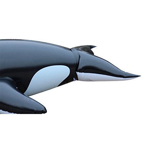 Wanderlust Collective Inflatable RideOn Killer Whale Float Crazy