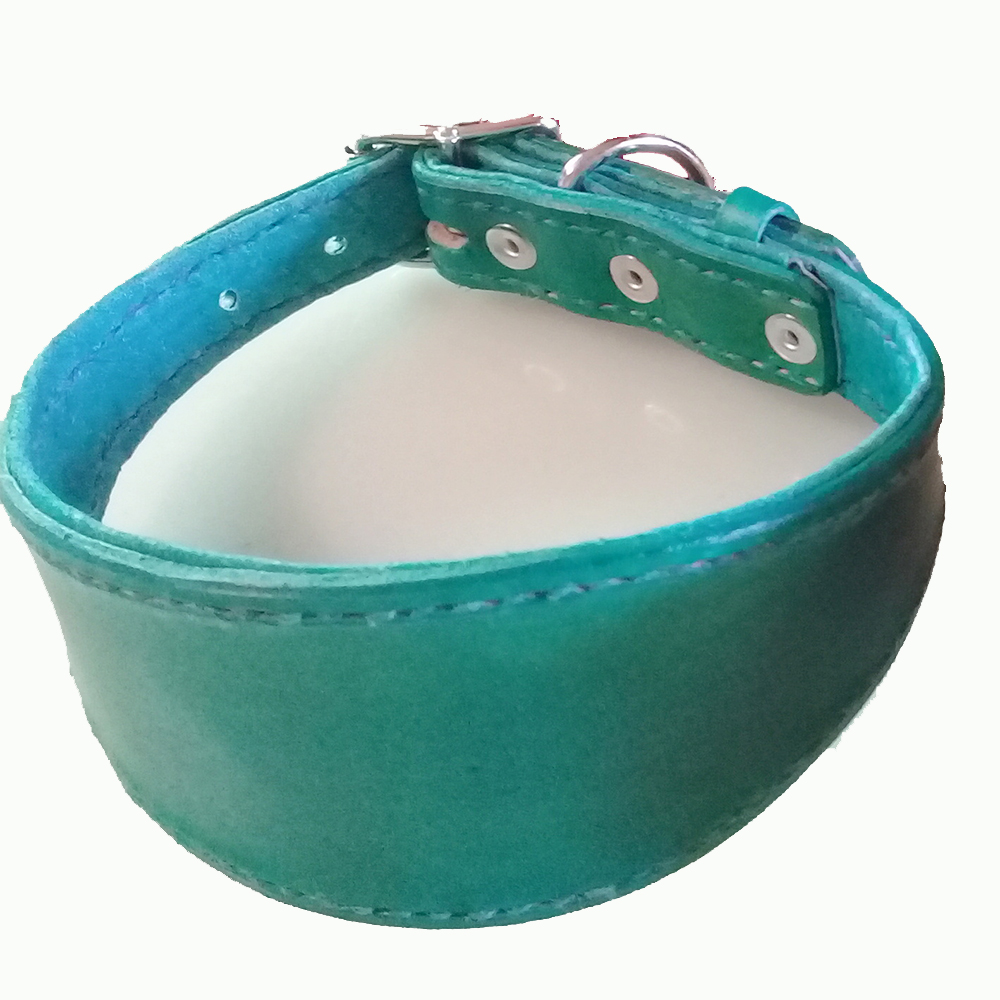 Saluki Collar Crazy Hound House