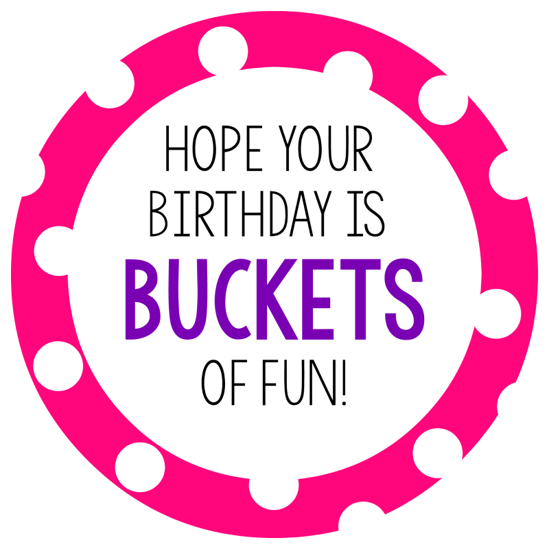 "Buckets of Fun" Birthday Gift Idea Crazy Little Projects