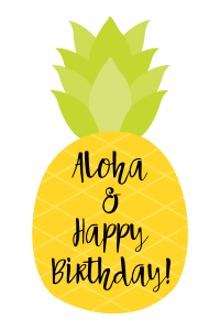 Pineapple Themed Birthday Gift - Crazy Little Projects