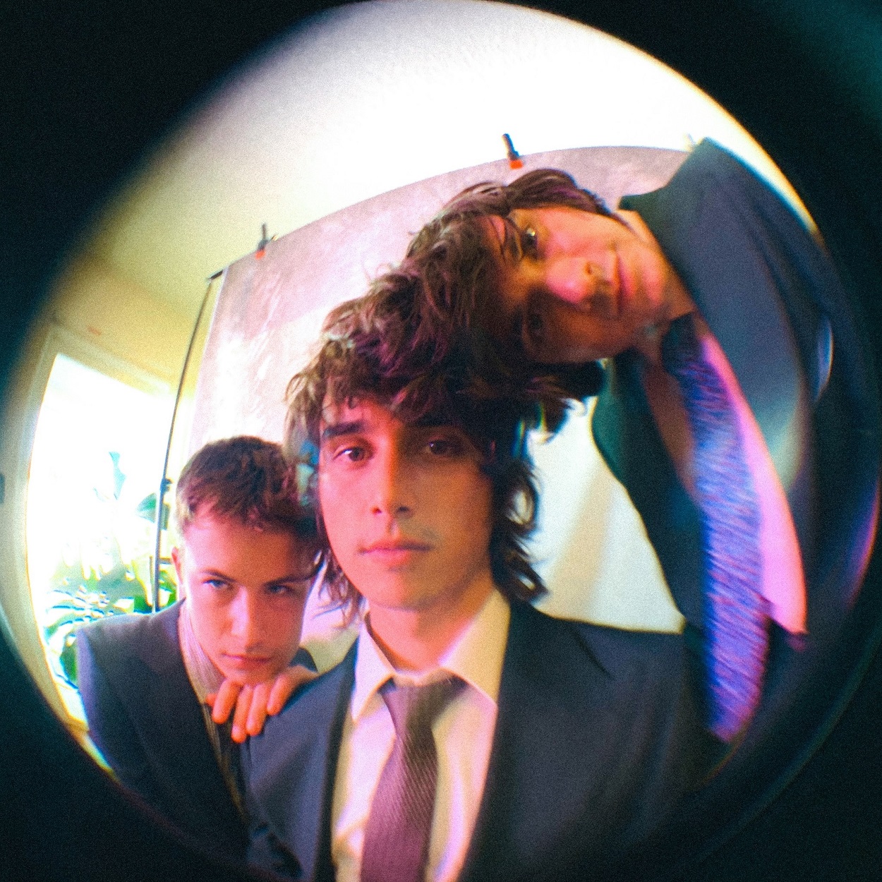 WALLOWS Biografía, Discografía, Información y Conciertos