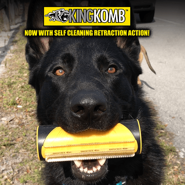 King Komb Deshedding Tool For Dogs Review
