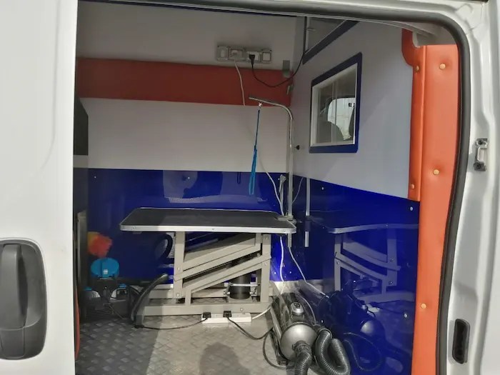 Expert Pet Grooming in Abu Dhabi Affordable Services