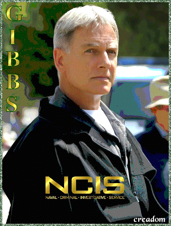 N. C. I. S. Leroy Jethro Gibbs