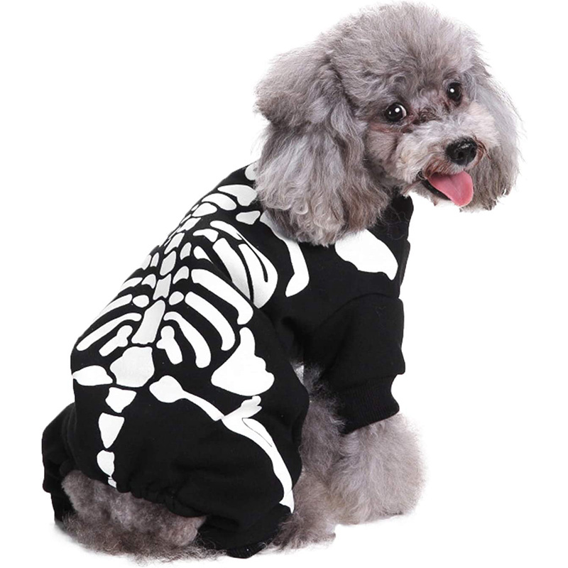 Dog Skeleton Costume Create2fun Collection of Halloween Supplies