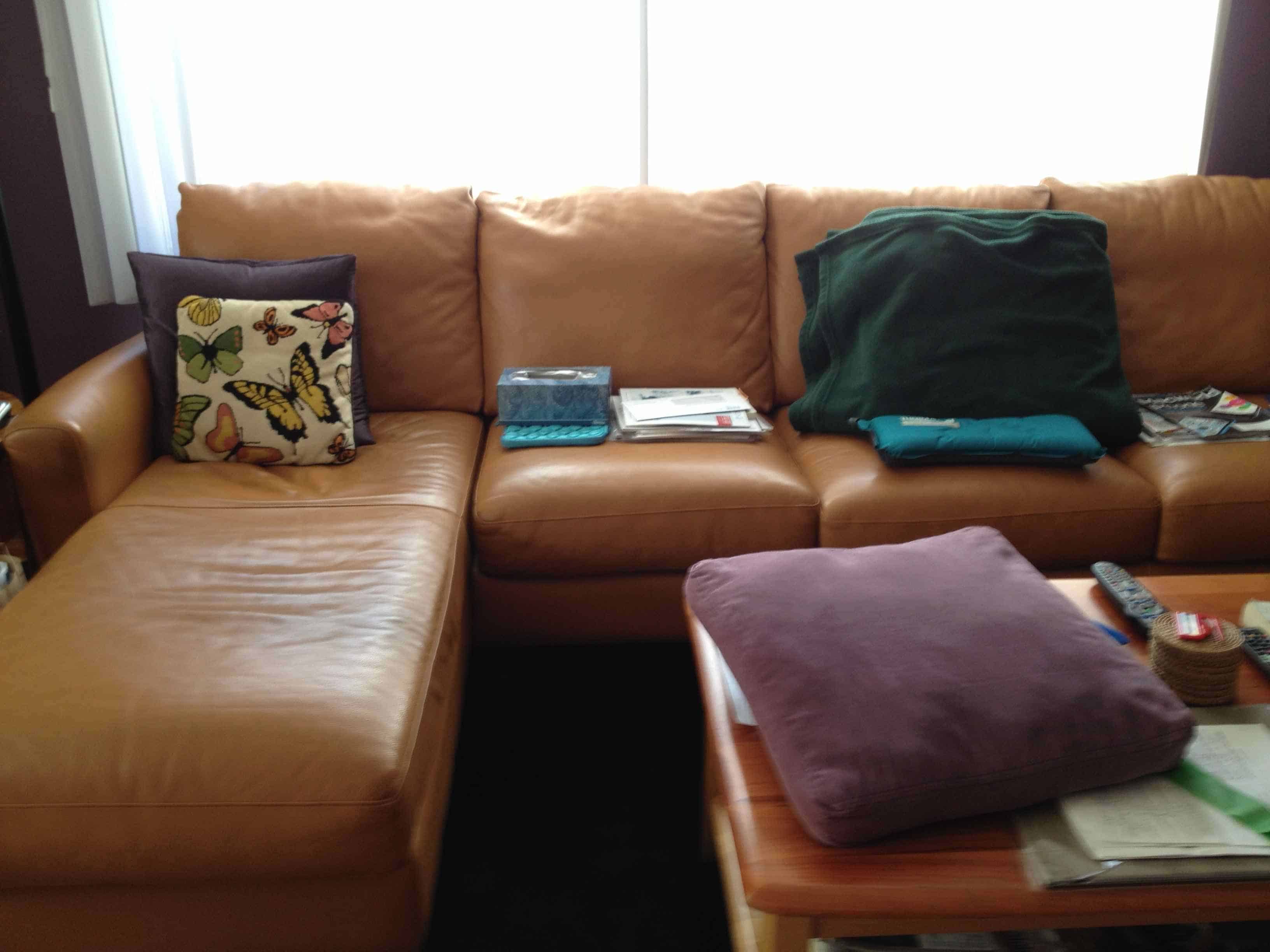 Couch Naps Win Create An Adaptable Life