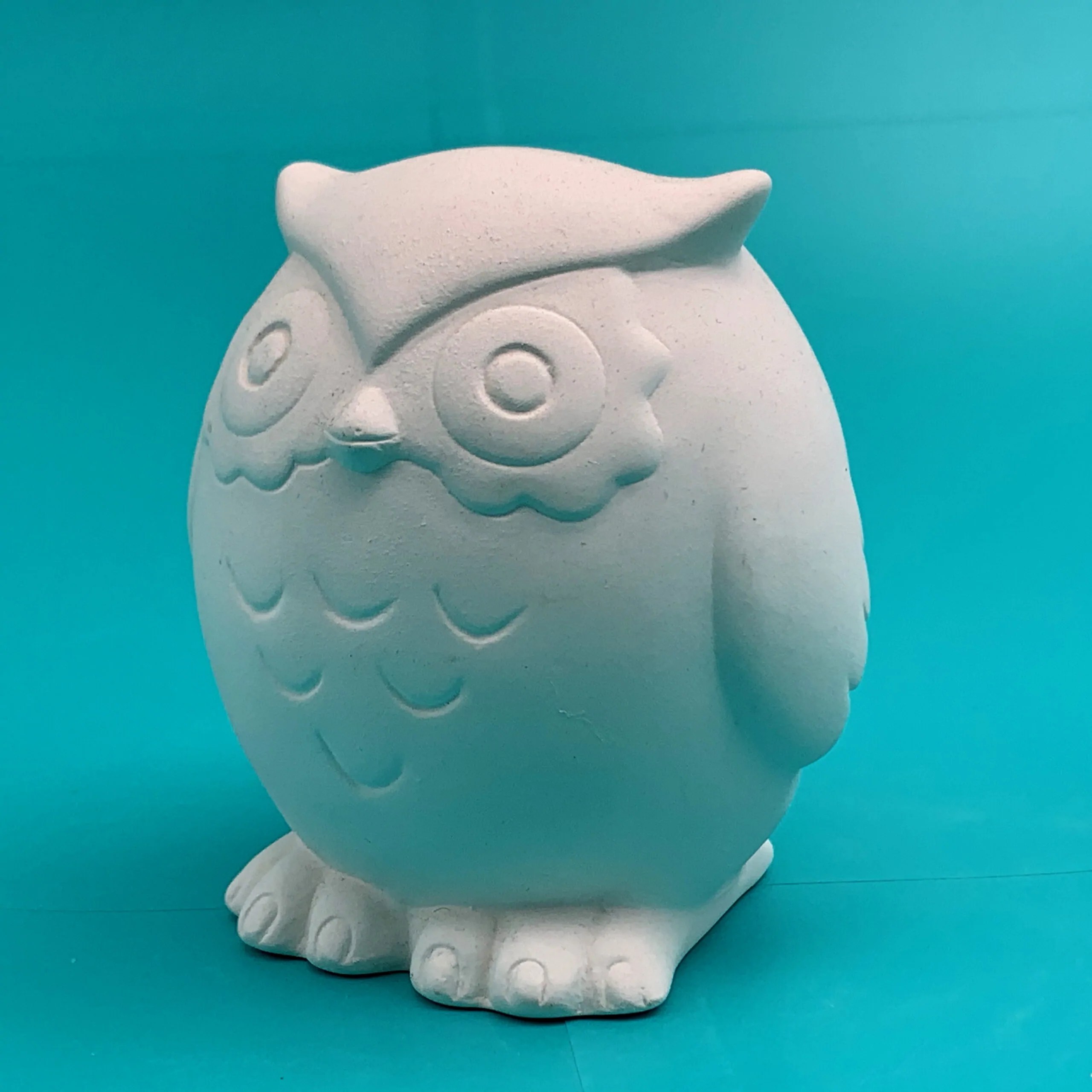 Hoot the Owl Pottery Painting Kit Create Art Studio Toronto