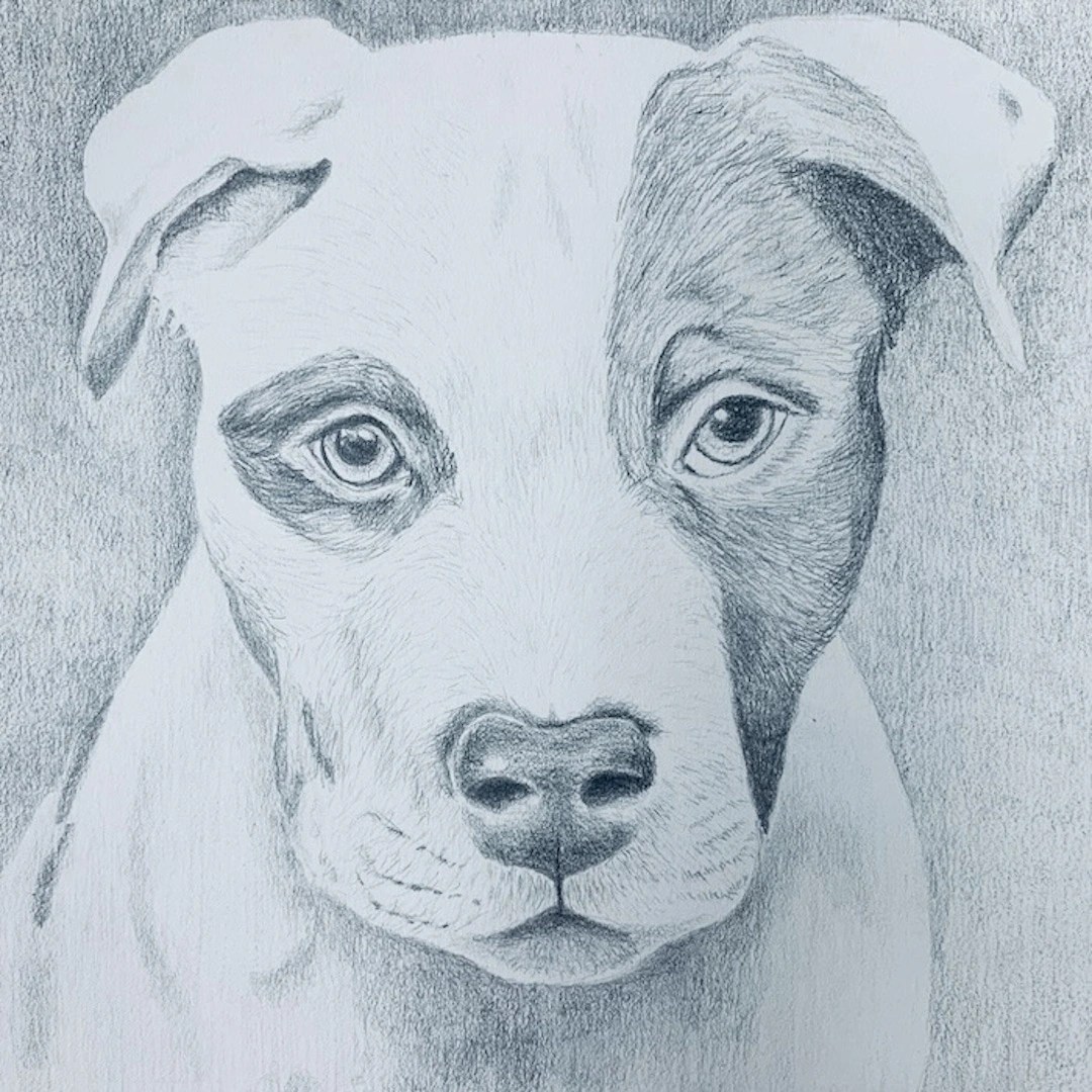Learn to draw at Create Art Studio Toronto's best art classes