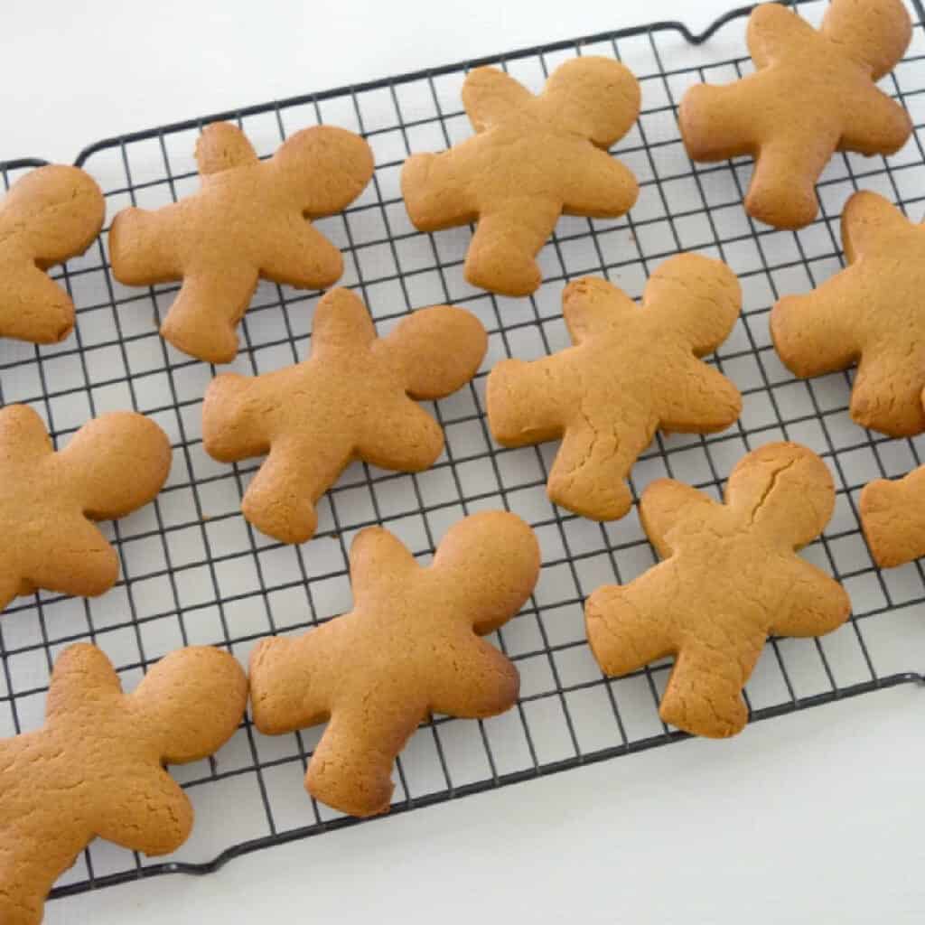Easy Gingerbread Recipe Create Bake Make
