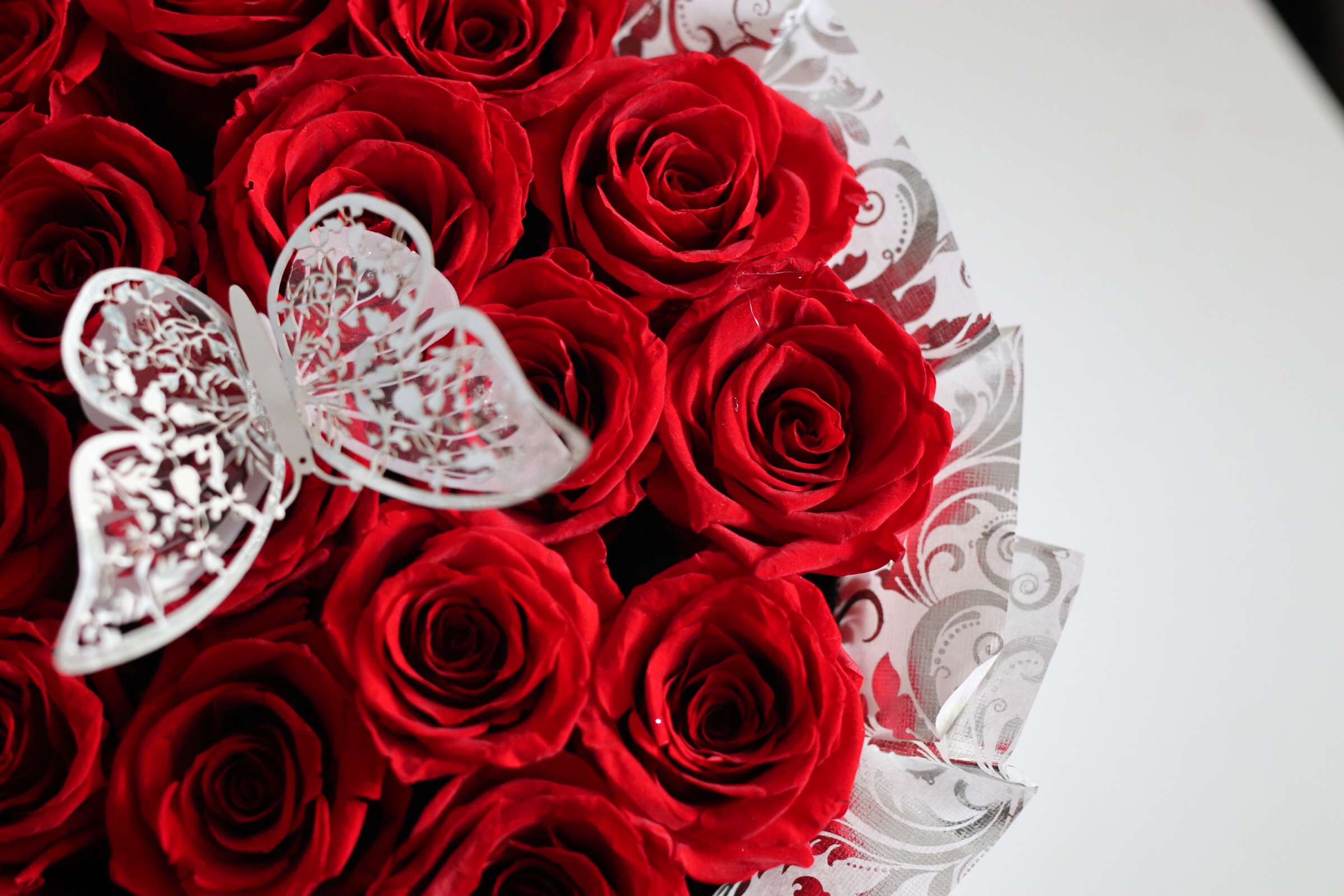 red forever roses in a signature box CREATED BY HEART