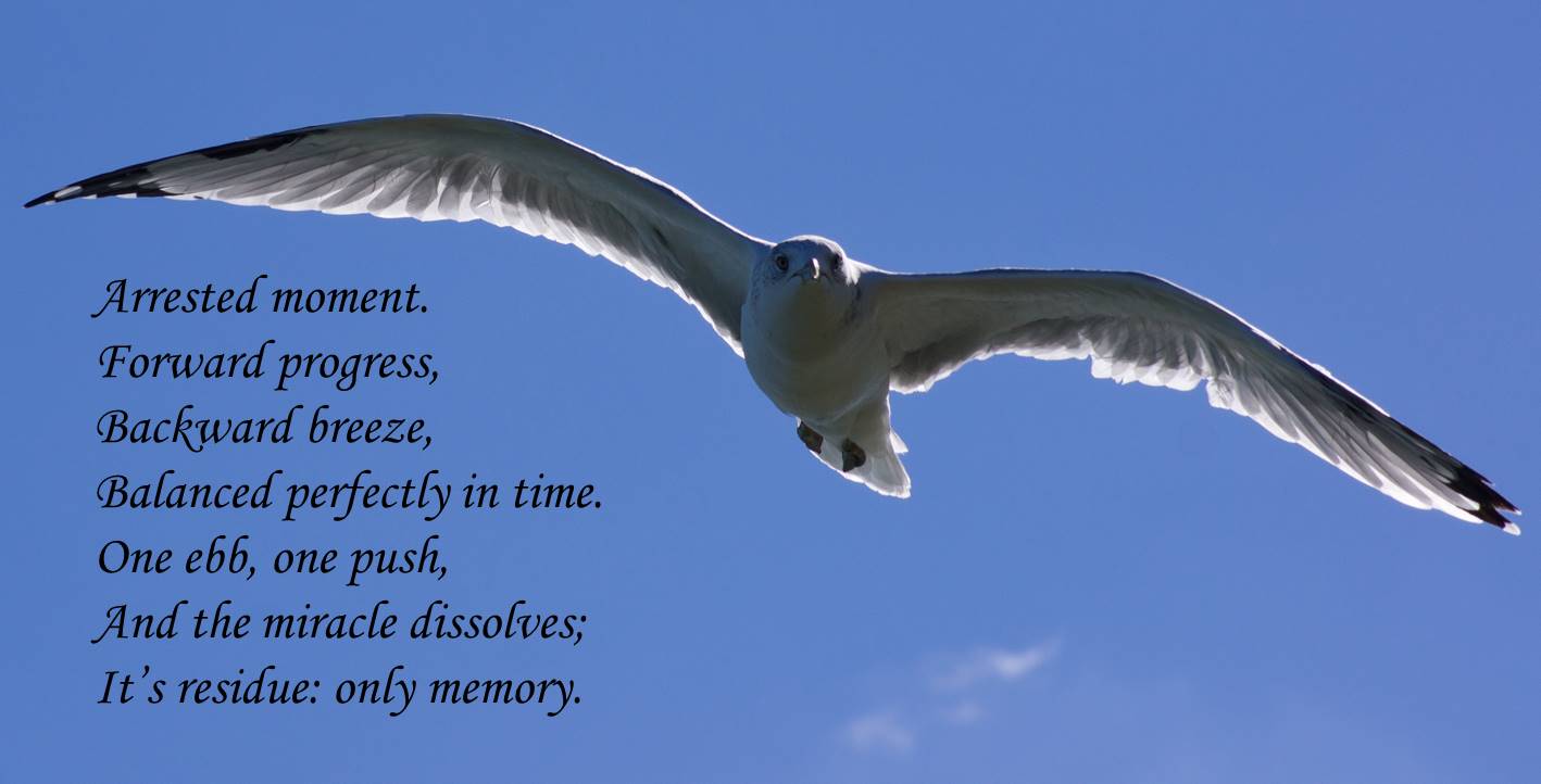 Arrested moment createdbyrcw