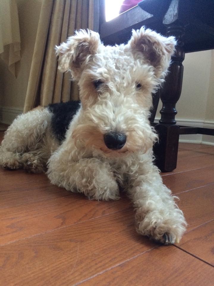 マリコの出産までにしていくことは…