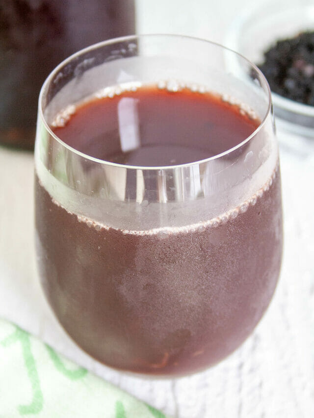 Elderberry Kombucha Create Mindfully