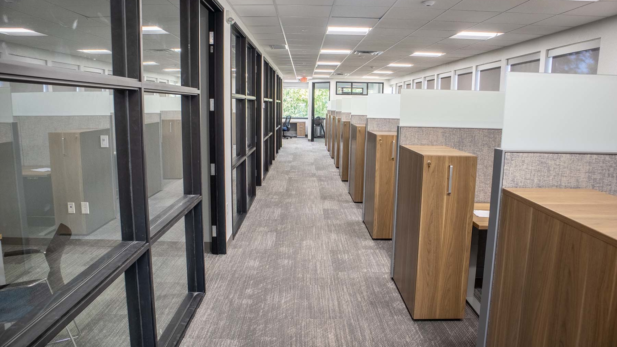 HUB International Breathing Life Into A New Building Spaces