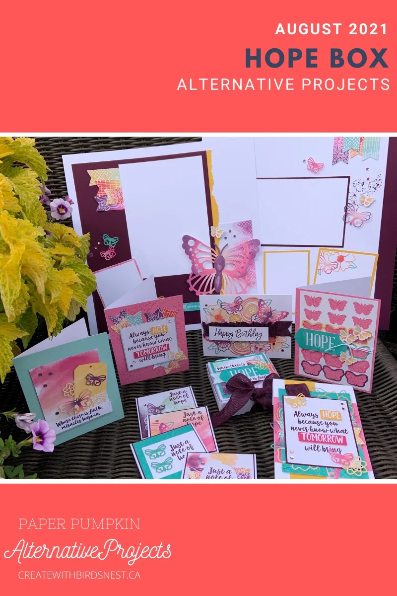 Hope Box Paper Pumpkin Alternate Projects • Birdsnest Designs