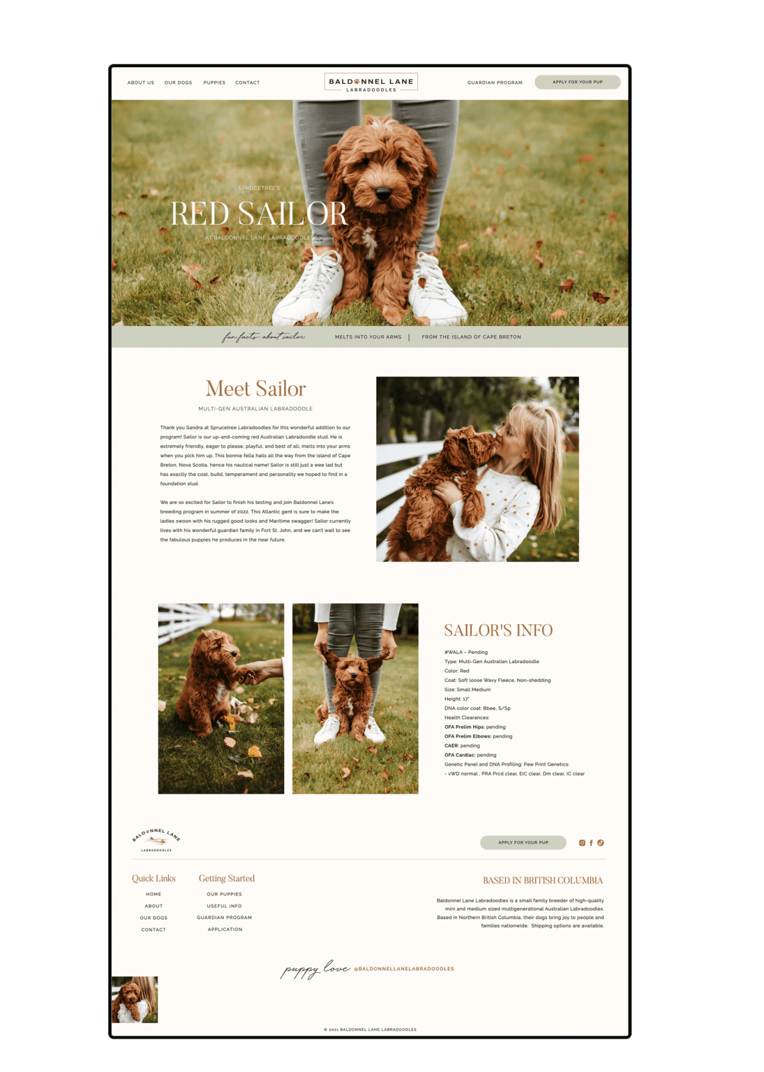Showit Dog Breeder site Design for Baldonnel Lane CWD
