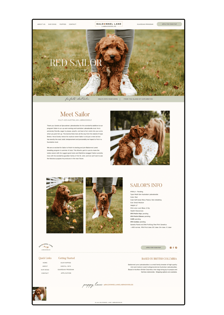 Showit Dog Breeder site Design for Baldonnel Lane CWD