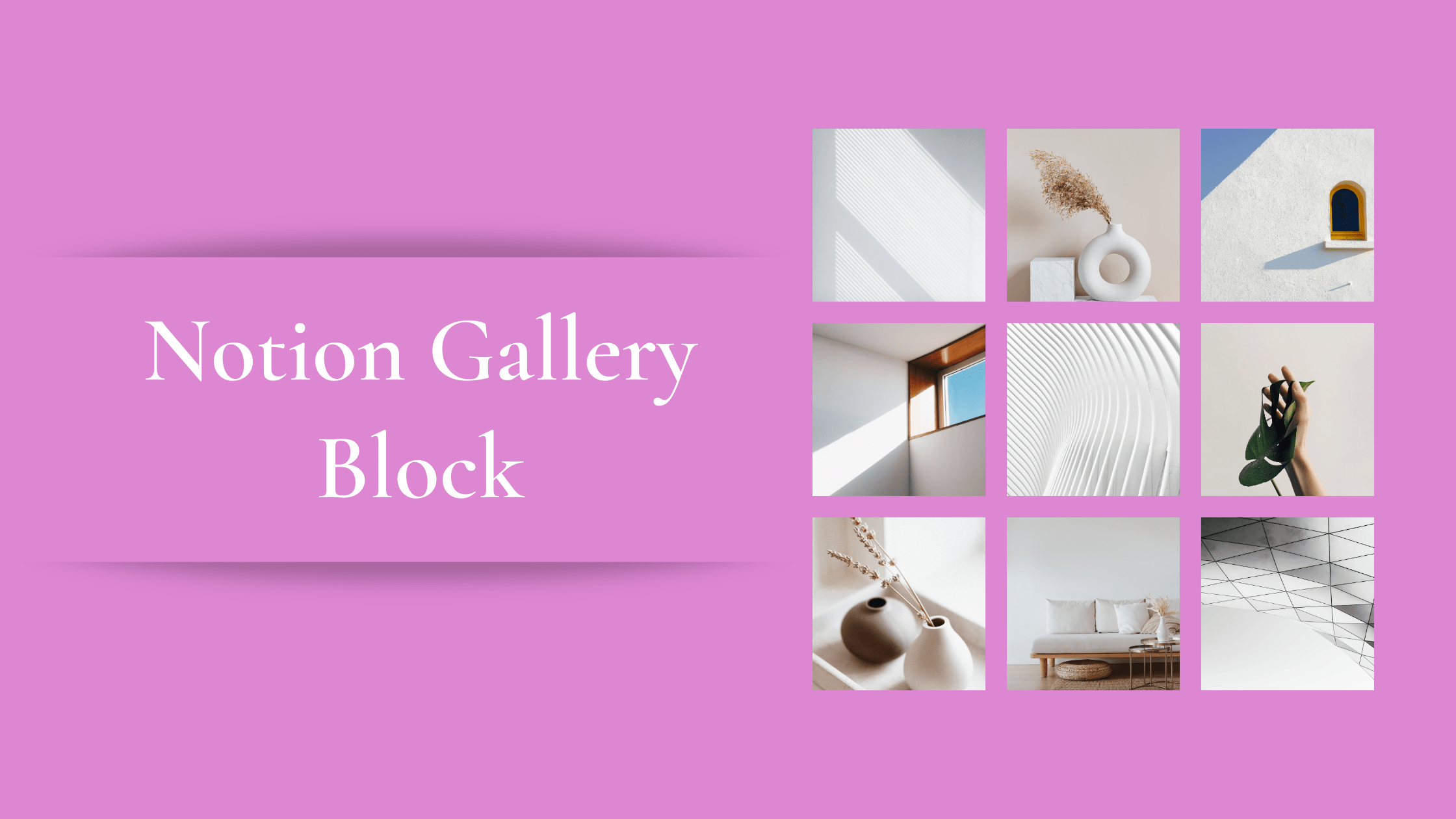 How to Utilize Notion's Gallery Block Create with Notion