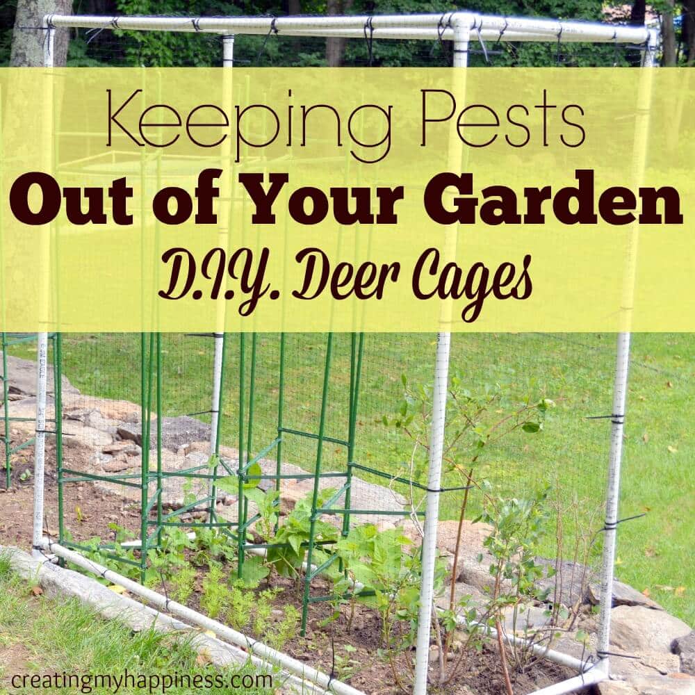 Keeping Pests Out of Your Garden D.I.Y. Deer Cages Creating My Happiness