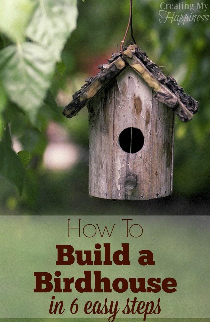 How to Build a Birdhouse in 6 Easy Steps Creating My Happiness
