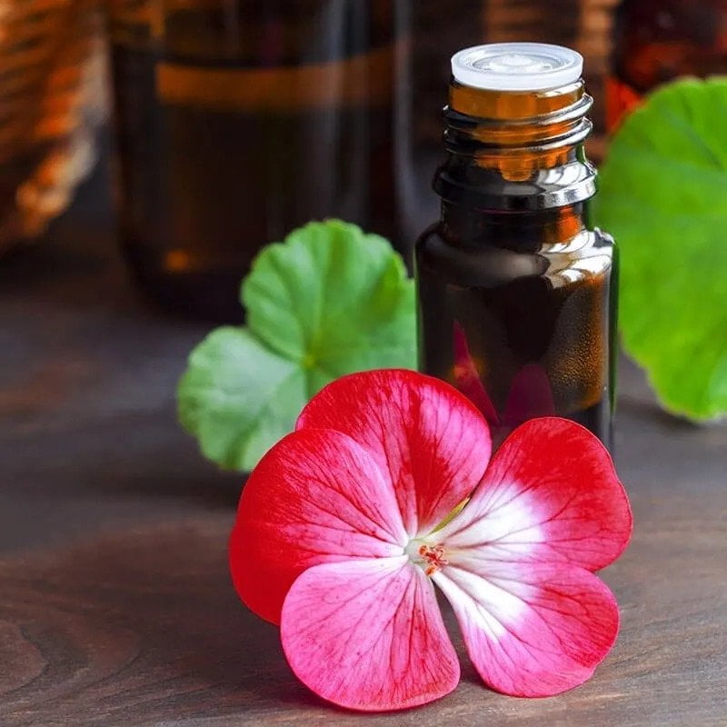 Geranium Essential Oil Creation Essentials