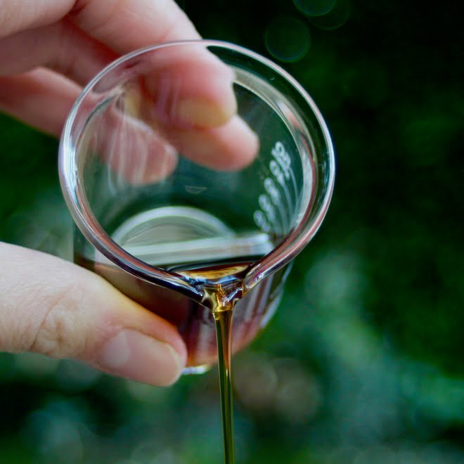 Quinoa Hydrolyzed Protein 4oz. Creation Essentials