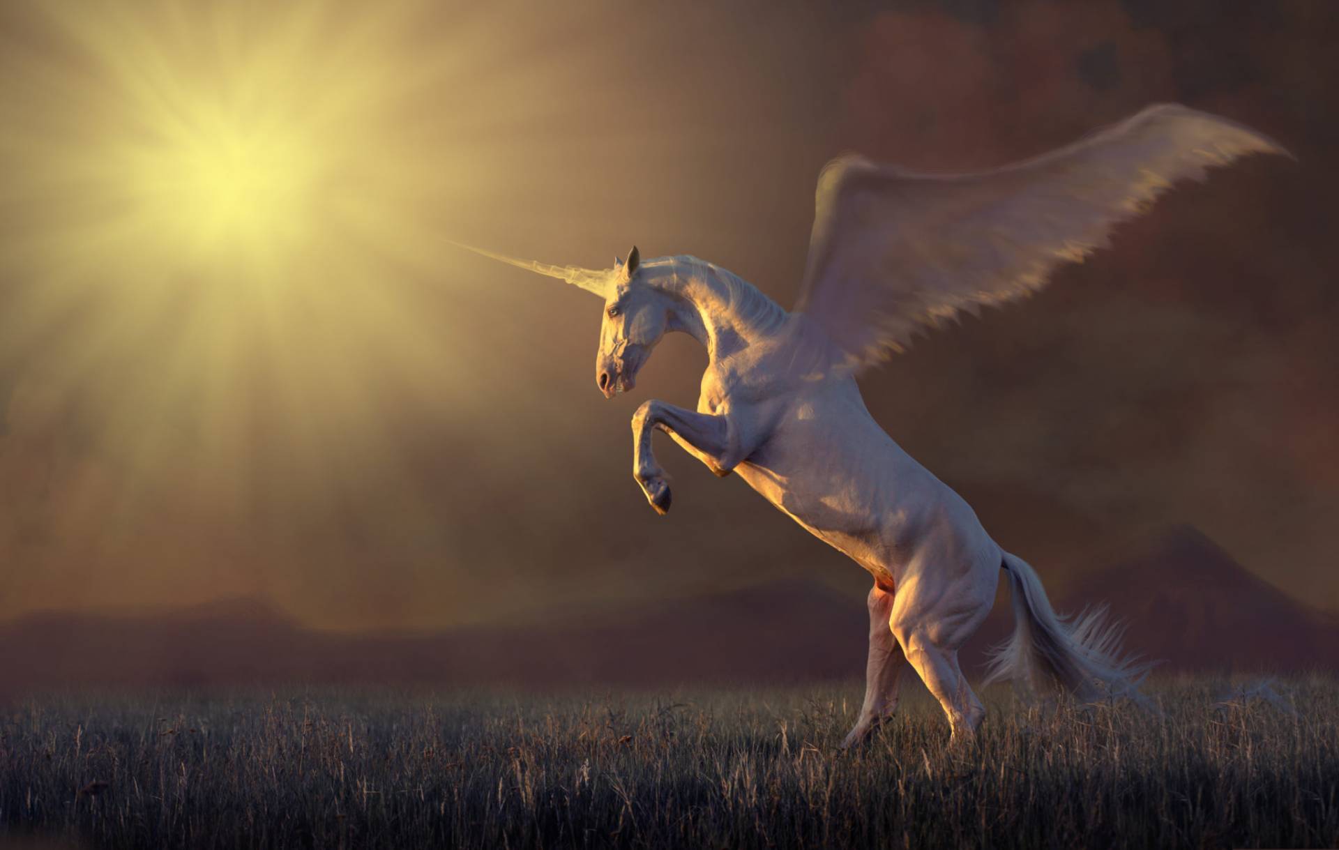 Why Does The Bible Mention Unicorns? Creation Today