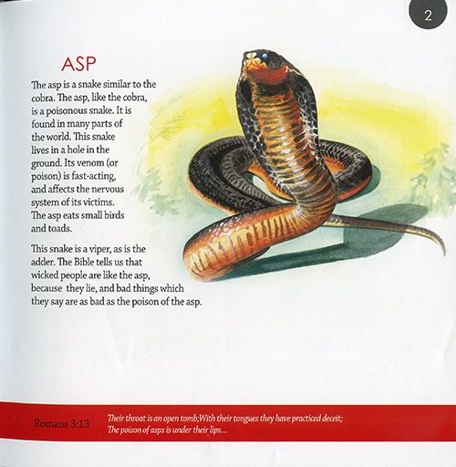 44 Animals of the Bible Creation Today