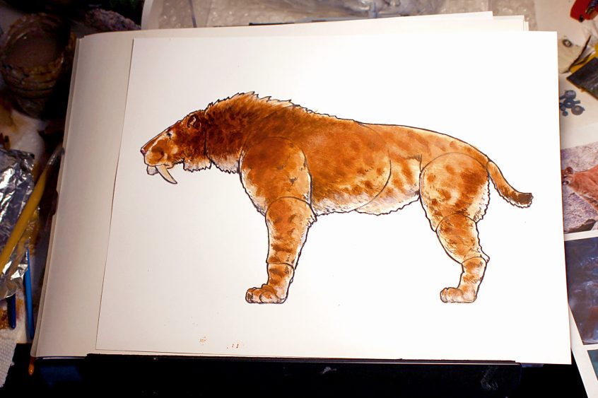 Saber Tooth Tiger Pictures To Color