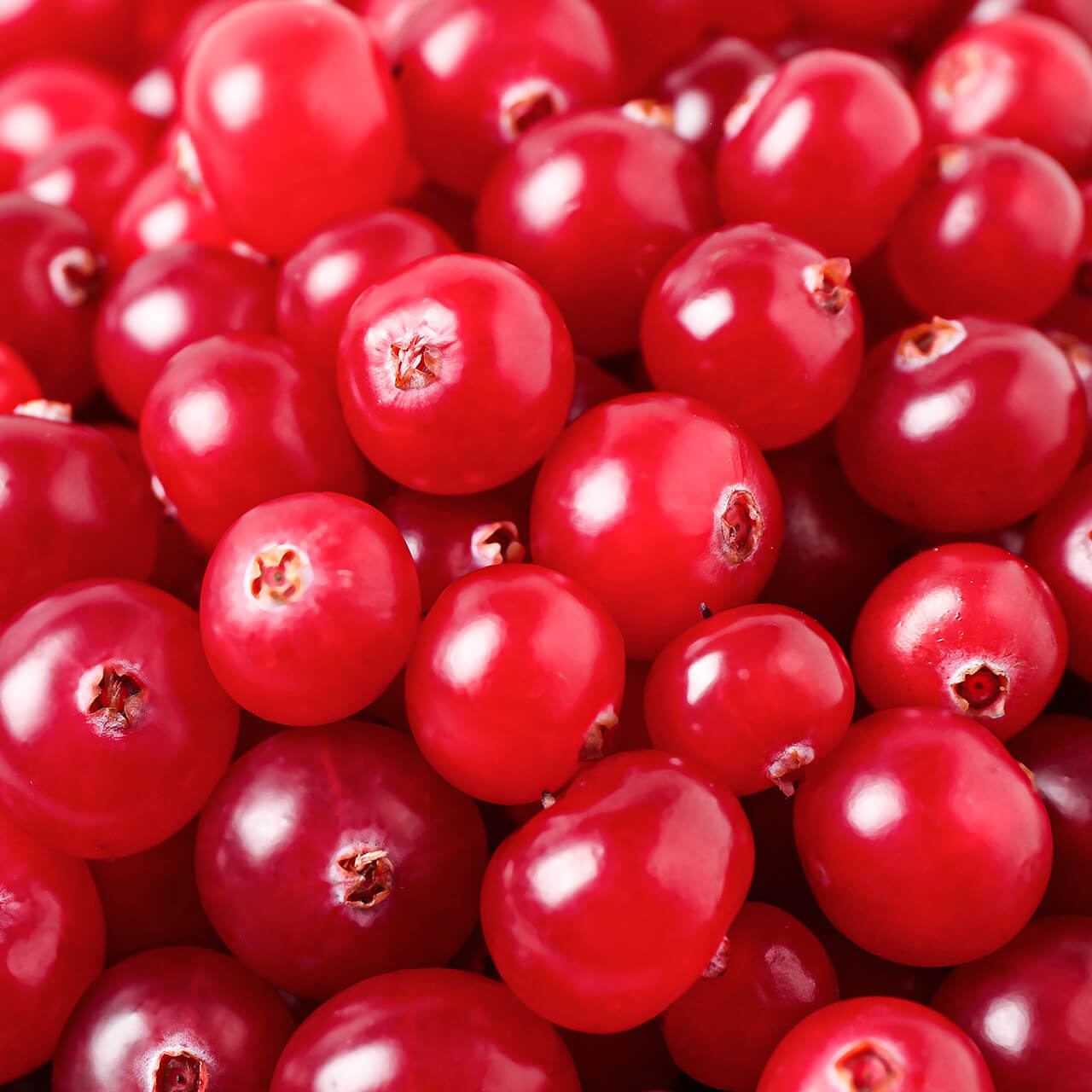 Cranberry Base Creative Formulas