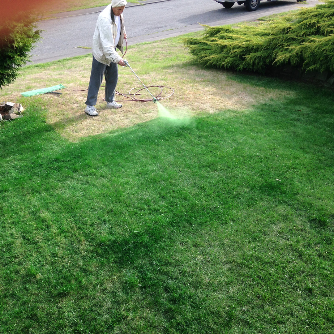 Creative Brushworks Residential Painting Victoria BC