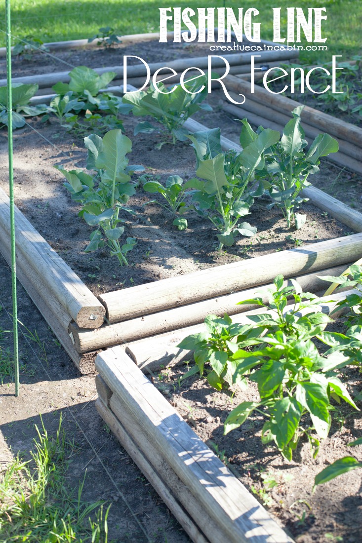 Fishing Line Deer Fence CREATIVE CAIN CABIN