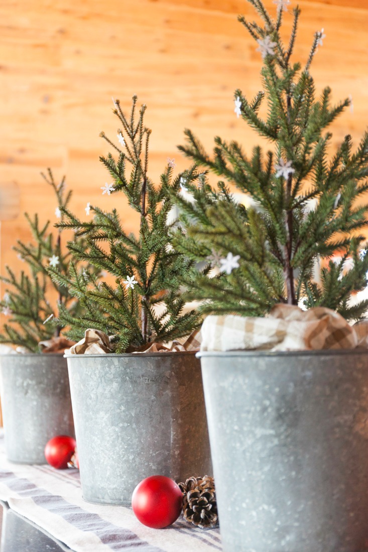 How To Preserve Evergreen Branches For Christmas CREATIVE CAIN CABIN