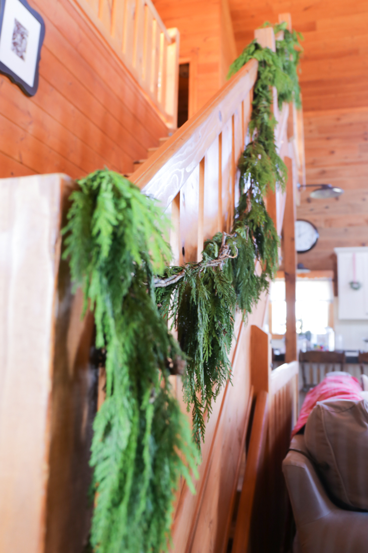 How To Preserve Evergreen Branches For Christmas CREATIVE CAIN CABIN