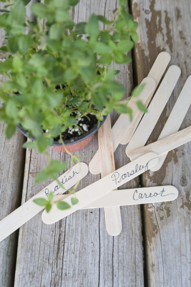 Dollar Store Garden Hacks CREATIVE CAIN CABIN
