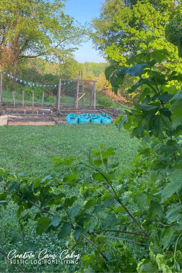 thrifty find GARDEN GROW BAGS FROM DOLLAR TREE CREATIVE CAIN CABIN