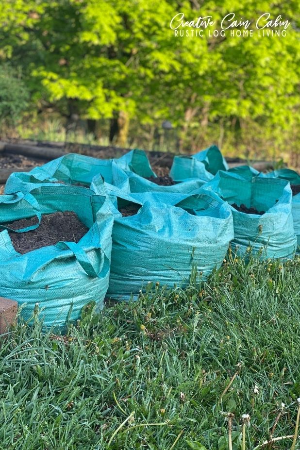 thrifty find GARDEN GROW BAGS FROM DOLLAR TREE CREATIVE CAIN CABIN