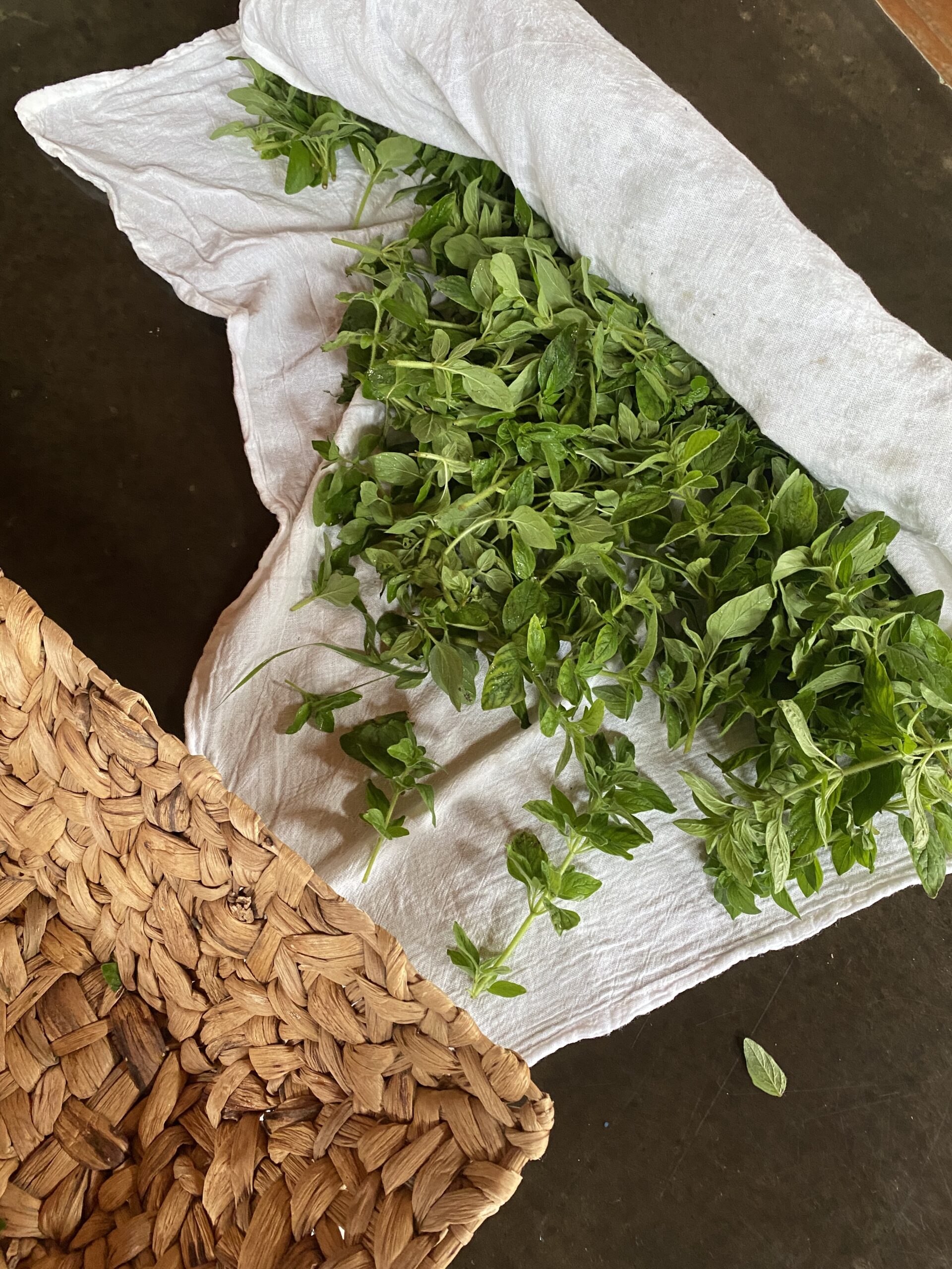 How to make an oregano tincture with fresh herbs CREATIVE CAIN CABIN